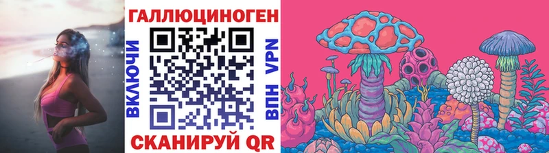 Псилоцибиновые грибы Psilocybe  Купить  Стародуб 